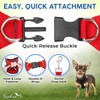 Dog Harness with Lead - Medium, Rover Red - Soft