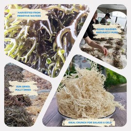 Lam Hong Sea Moss Dried 4oz – Make own Sea Moss Gel Organic Raw, Add to Salad, Sun-Dried, Wild Harvested for High Expansion & Natural Flavor, Iodine & Minerals, Supports Wellness, Vietnamese Sea Moss.
