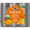V8 +Energy, Healthy Energy Drink, Natural Energy from Tea, Orange