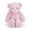 Bearington Large Pink Teddy Bear Plush, 18 Inch Stuffed Animal