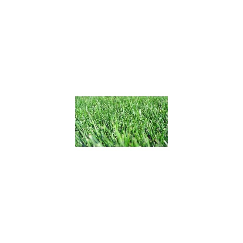 Five Star Tall Fescue Grass Seed Blend (5 Lbs.)