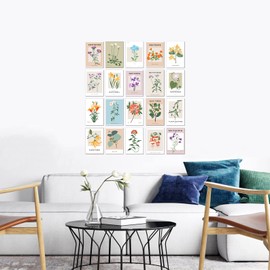 20 Piece Botanical Graphic Garden Flower Collage Kit - Art Boheme, French Printemps, Minimalist, Teen Room Wall, Dormitory Bedroom Decorations, Vintage Aesthetic, 4x6 Professional Photos
