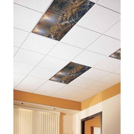 Magnetic Light Cover for Classroom Drop Ceiling,3 Pack 4x2 Ft Fluorescent Light Covers for Office Home Ceiling Light Deer in Sunset Forest with Stream and Trees Lampshade