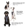 Enhanced Strenght Tru-Fit Smart Harness, Charcoal, Extra Small