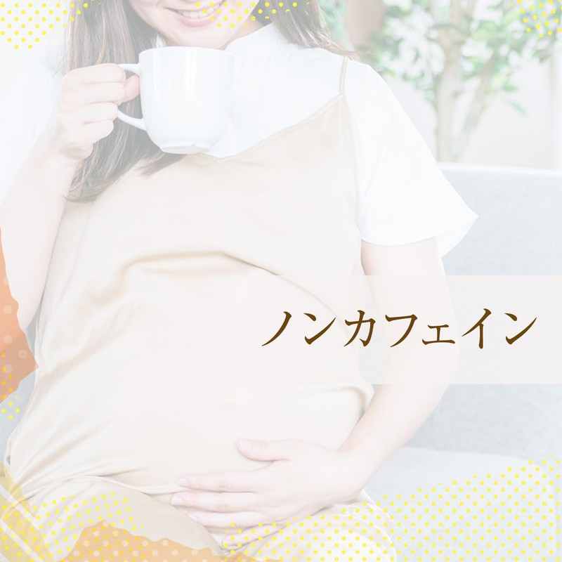 高麗人参しょうが茶 PREMIUM（20包入）／ 高麗紅参茶 高麗人参茶 しょうが茶 生姜茶 紅参茶 人参茶 サポニン ginseng