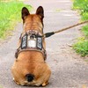Beebiepet Heavy Duty Tactical Dog Harness for Small Dogs, No