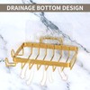 Snailhouse Soap Dish for Shower, Wall Self Draining Adhesive Hanging