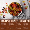 MENXI Mushroom Extract Complex Gummies Lions Mane Chaga Reishi Focus