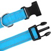 TagME Reflective Nylon Dog Collars, Adjustable Classic Dog Collar with