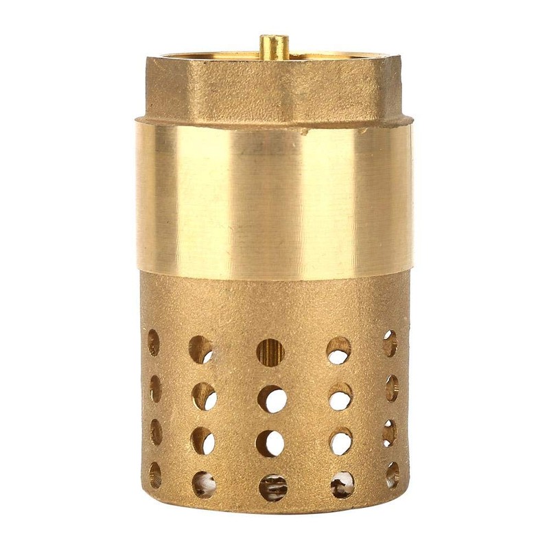 DN25 Female Female Brass Check Valve with Filter Filter