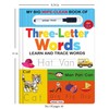 My Big Wipe And Clean Book of Three Letter Words