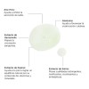Oxidermic Toner - Tónico Facial Anti Imperfecciones - 95 Ml
