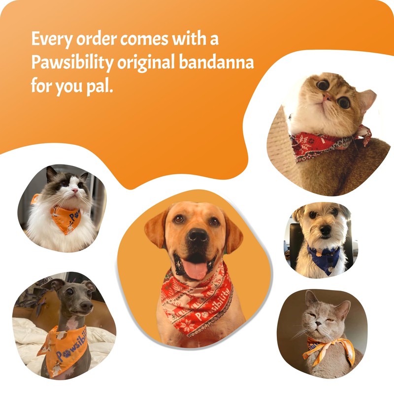 Pawsibility Pet Nail Clipper PRO 2026 -​​ ​​Quick-Vision LED Light