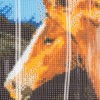 Ideen mit Herz 5D Diamond Painting | Horse Trio |