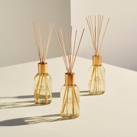 Glasshouse Fragrance Forever Florence Reed Diffuser, Home Fragrance & Perfume Scented Room Décor, Natural & Oil Free, Wild Peonies & Lily 8.4.fl.oz (250mL)