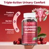 Totaria 2 Pack Vegan Cranberry Gummies with D-Mannose, Probiotic &