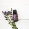 doTERRA doTERRA Lavender Essential Oil - 15 ml - 2