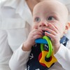 Dr. Brown's™ Learning Loop™ Teether