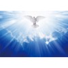 Leowefowa 5x3ft Jesus Christ Backdrop Vinyl Holy Light Beams Dove