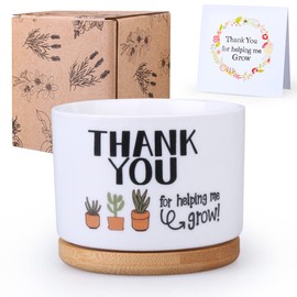 Teacher Appreciation Gifts Set for Women Men, Teacher Week Christmas End of Year Present from Student, Best Birthday Valentine Retirement Thank You Idea, Succulent Plant Pot Teacher / Mom Planter