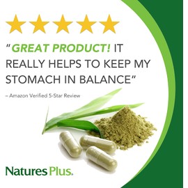 NaturesPlus GI Natural Total Digestive Wellness (3 Pack) - 90 Vegetarian Tablets, Bilayer - Natural Gut Health Supplement, Probiotics, Prebiotics, Enzymes - Gluten-Free - 90 Total Servings