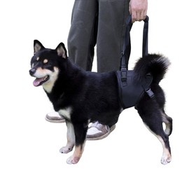 Dog Lift Harness for Dogs with Disabled Arthritis and Weak Back Legs, humanized Design with Comfortable Materials, Adjustable Back Legs and Straps, Suitable for Helping Dogs to Recover and Walk. (S)