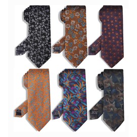 YanLen Tie For Men Necktie Woven Jacquard Neck Ties Set 6 PCS (Style18)