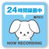Security Stickers, Dogs, Dogs, Security Stickers, 3.9 x 3.9 inches