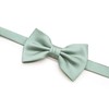 OCIA Men's Oziact Pattern Bow Tie, Deep Sage