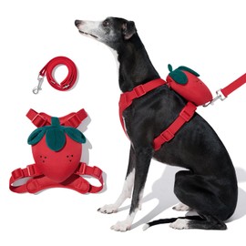 VETRESKA Strawberry Dog Harness and Leash Set, No Pull Dog Vest Harness for Medium Large Dogs, Walking and Training, Adjustable, Easy Control and Soft Padded Pet Harness and Backpack (S)