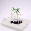 Set of 9 Eco Grass Hair Claws - Natural Look