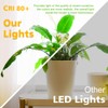 2 Inch LED Downlight, Recessed Lighting Dimmable Ceiling Light, 3W,