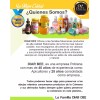 Diardee Cera Abeja Estampada Láminas Cera Abeja Pura 1 Pza./diar