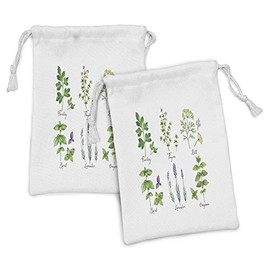 Lunarable Herb Fabric Pouch Set of 2, Parsley Thyme Dill Basil Lavender and Oregano Fresh Plants Hand-Drawn Style Healthcare, Small Drawstring Bag for Toiletries Masks and Favors, 9" x 6", Multicolor