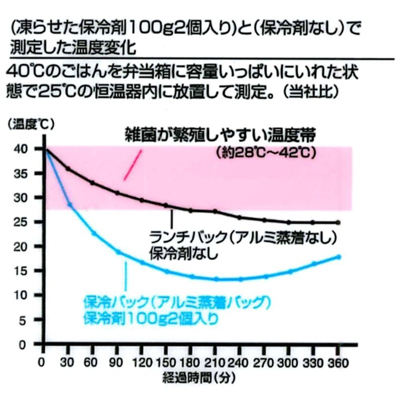 スケーター(Skater) 保冷バッグ付 ジャンボ 2段 弁当箱 1.3L MODE LINE モードライン KCPJW13-A