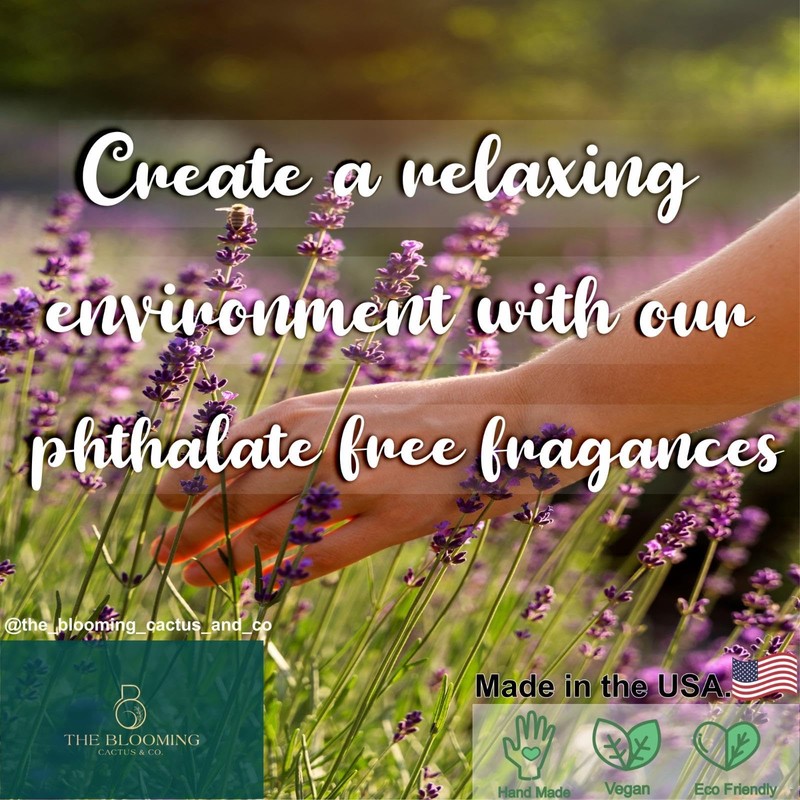 The Blooming Cactus & Co. - Car Diffuser Refill -