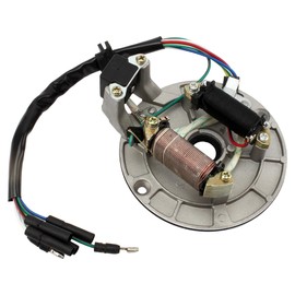 ABCERRSI 2 Coil Magneto Stator Compatible with 50cc 70cc 90cc 110cc 125cc Taotao Kazuma SSR Baja ATV Quad Dirt Kick Bike 4 Wheeler