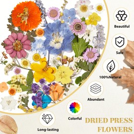 Pressed Flowers Real Dried Flowers for Crafts Resin, Colorful Natural Pressed Dried Flowers Dry Leaves Bulk with Tweezers for Resin Mold, Candle Soap Making, Jewelry, Nails, DIY Art, Scrapbooking