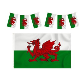 Storm&Lighthouse Welsh Flag and 10m Bunting Cymru Wales Flag 5ft x 3ft with Eyelets St Davids Day Red Dragon Flag Six Nations Bunting Rugby