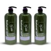 Natural Leaf Tea Tree Lavender Floral Scent Body Wash 1500ml 3 Count