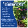 Aquality Aquarium Algae EX (First Class Algae Killer, Algae Remover,