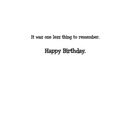 SHADE TREE GREETINGS Funny Birthday Greeting Card (5" x 7") by Actual Pictures | 3 Pack + 3 Envelopes (Martini Cat)