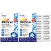 뉴일리 Newilly 10 billion a day live lactic acid bacteria gold 500mg x 60 capsules 2 boxes / 뉴일리 하루 100억 생유산균 골드 500mg x 60캡슐 2박스