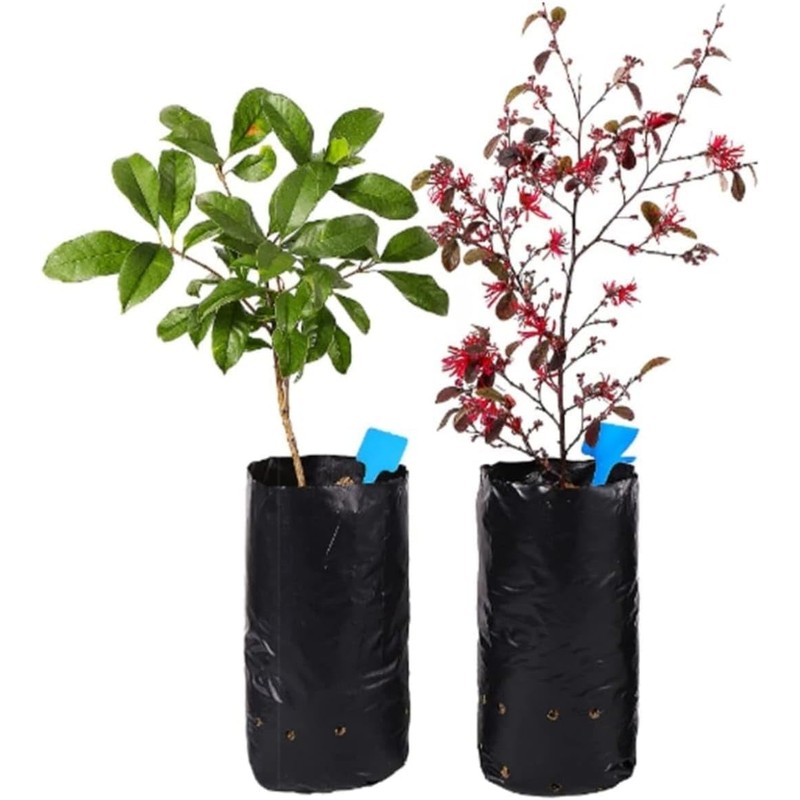 Genérico Bolsas (45x45) Bolsas de vivero 14 pzs