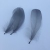 Sowder Natural Goose Feathers Clothing Accessories Pack of 100(grey)