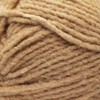 Bernat Forever Fleece Yarn, 1 Pack, Bergamont