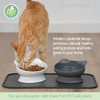 Kitty City Large Slow Eat Raised Cat Ear Bowls (Modern)