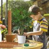 Moss Pole Monstera Plant Support: 4 Pack 16 inch Stackable