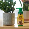 Miracle-Gro Indoor Plant Food, Liquid Plant Food for Houseplants, Snake