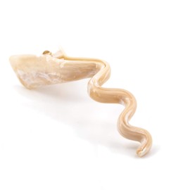 Wave Hair Clip Mini in Amber - Made in Germany - Pack of 1 WeLoveBeads